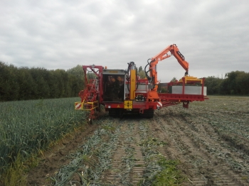 Preirooier op rups 