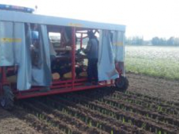 Leek planting machine